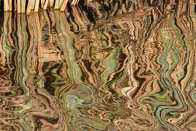 Schilf, das sich im Wasser spiegelt von Betty van Engelen