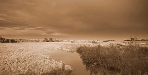 Stille vor dem Sturm .