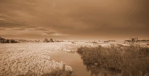 Stille vor dem Sturm .