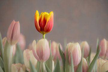 Blumen Teil 368 von Tania Perneel