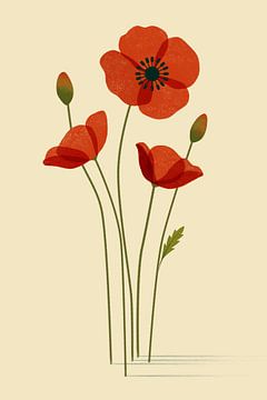 Klaprozen – een botanische en minimalistische illustratie van Eduard Broekhuijsen