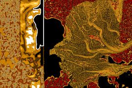 Paysage virtuel sur Cees van Gastel