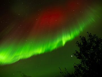 Nordlicht Aurora borealis Island von Dick Hoogenboom