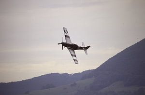 P51 D "Mustang"  sur Joachim Serger