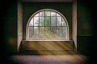 Lost Place - Fenêtre par Sabine Wagner Aperçu