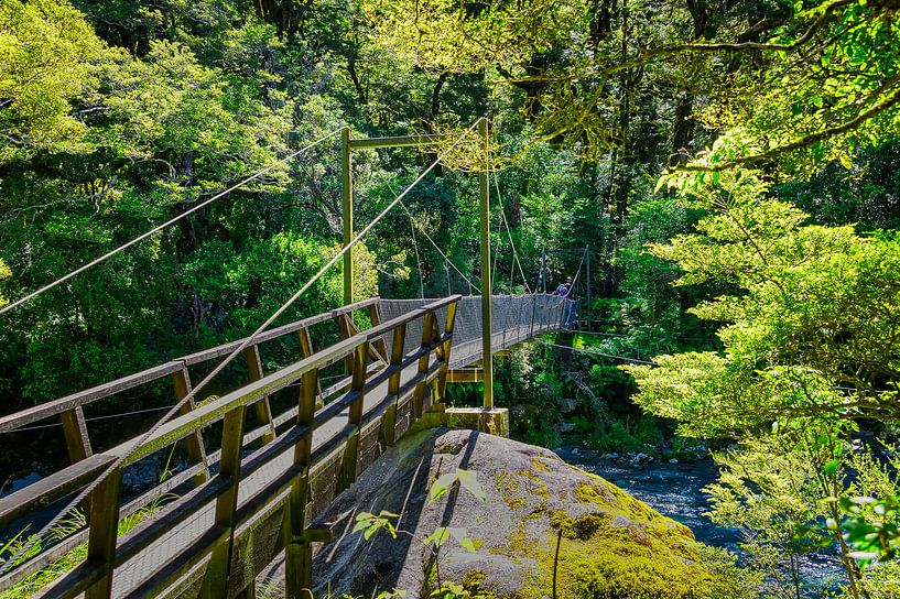 Pedestrian bridge over the river in Fiordland by Rietje Bulthuis