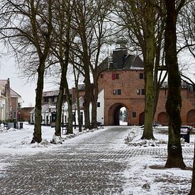 Besneeuwd Vischmarkt met de Vischpoort van Harderwijk van Gerard de Zwaan