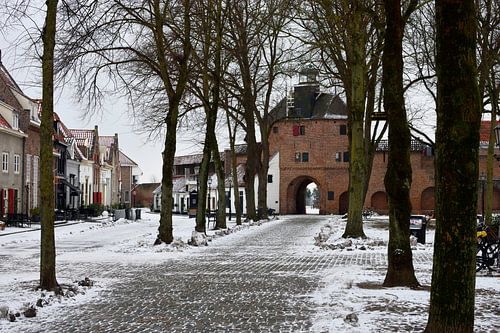 Besneeuwd Vischmarkt met de Vischpoort van Harderwijk van Gerard de Zwaan