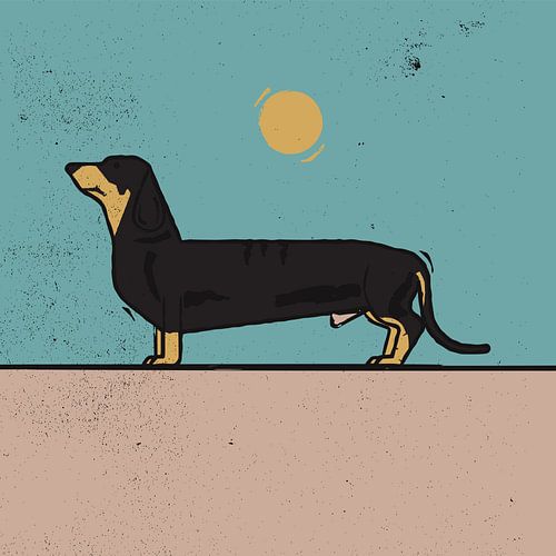 Dachshund
