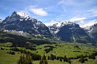 De Zwitserse Alpen
