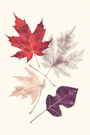 Autumnal colour harmony - leaf dance by Poster Art Shop