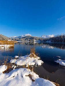 Ein zauberhafter Wintertag am Geroldsee in Oberbayern - Een betoverende winterdag in Oberbayern