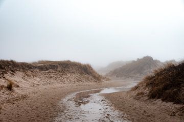 Natuurpark de Slufter gehuld in de mist I | Een reis over Waddeneiland Texel van Roos Maryne - Natuur fotografie
