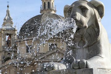 Leeuwenfontein op de Piazza del Popolo in Rome van rene marcel originals