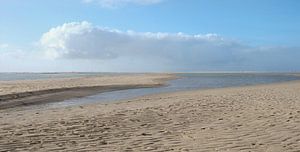 der Strand