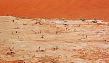 At Dead Vlei Namibia by W. Woyke