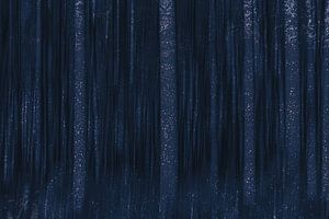 Forêt sombre
