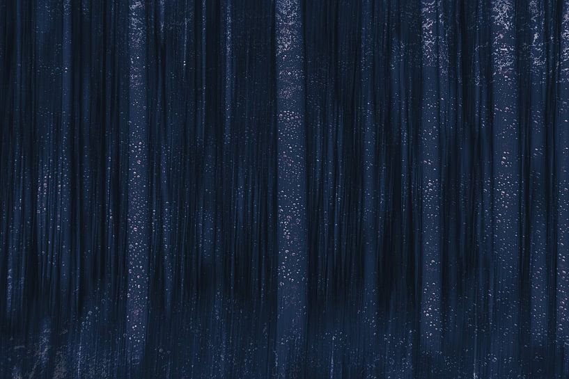 Forêt sombre par Yanuschka | Fotografie Noordwijk