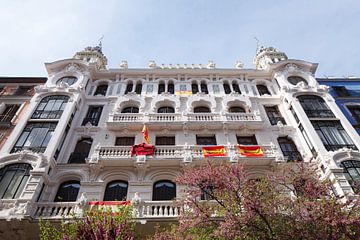 Calle Mayor, Centum, Oude Stad, Madrid, Spanje, Europa van Torsten Krüger