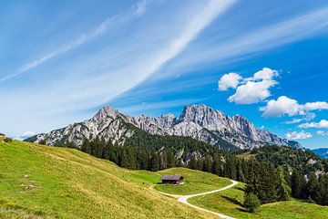 Blick auf die Litzlalm mit Hütte in Österreich