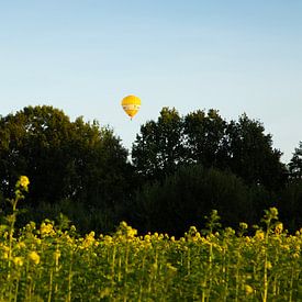 Gelber Heißluftballon mit gelben Blumen im Vordergrund von Edith Keijzer