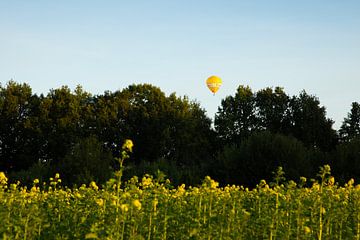 Montgolfière jaune avec des fleurs jaunes au premier plan sur Edith Keijzer