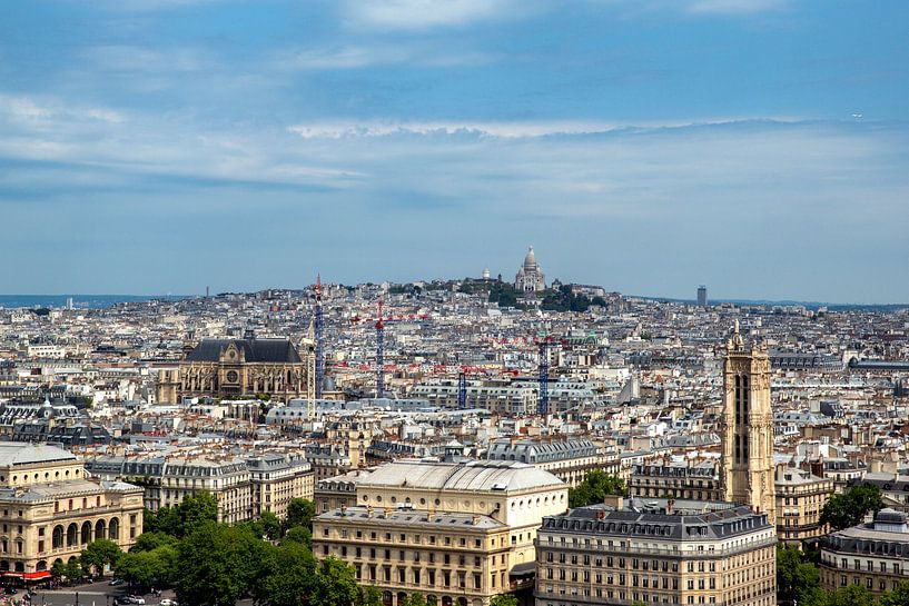 Parijs vanaf de Notre Dame met zicht op Sacré-Coeur van Jan Sportel Photography