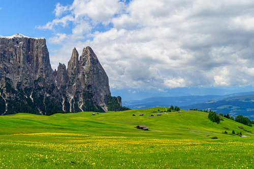 Le massif du Sciliar vu depuis la Seiser Alm ou l'Alpe di Siusi sur Sjoerd van der Wal Photographie