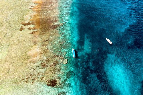 Aerial Summer - Coral Reefs
