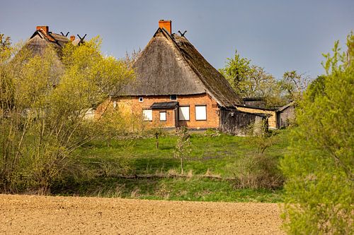 Un village aux toits de chaume salue le printemps sur Holger Felix