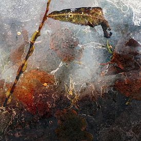 Ice on the water, an abstract von Anne Hana