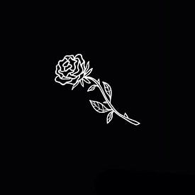 Nicole Zoetemeyer Profilfoto