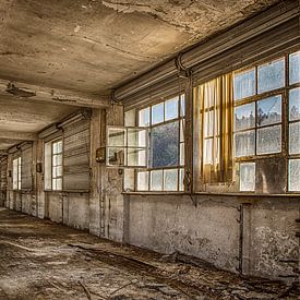 Open window sur SER Sanierung im Erd- und Rückbau GmbH