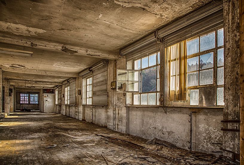 Open window van SER Sanierung im Erd- und Rückbau GmbH