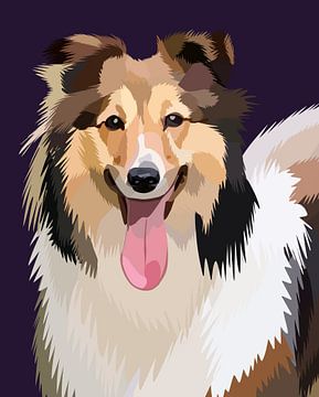 Shetland Sheepdog vector by Shalehuddin