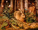 Een haas in het bos, Hans Hoffmann van Meesterlijcke Meesters thumbnail