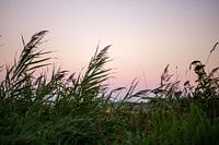 Sonnenaufgang Hijum mit schönen Farben am Himmel.