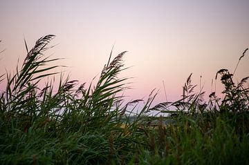 Sonnenaufgang Hijum mit schönen Farben am Himmel. von Wendy de Jong