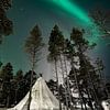 Noorderlicht in Lapland boven een kota | reisfotografie print | Inari, Lapland van Kimberley Jekel