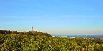 Der Rochusberg in Bingen am Rhein