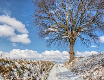 Winters landschap in Zuid-Limburg van John Kreukniet