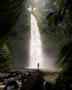 Wasserfall im Dschungel von Bali