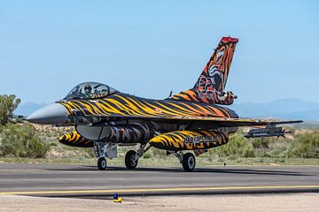 A General Dynamics F-16C Fighting Falcon of the Turkish Air Force in a beautiful tiger jacket. by Jaap van den Berg