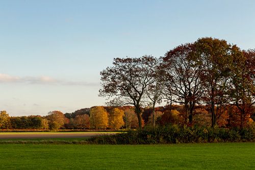 Herfstkleuren in de polder