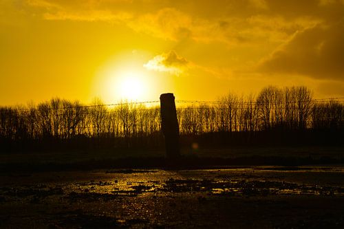 Avondzon