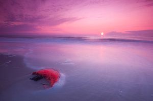 Purple evening at the beach - 1 van Damien Franscoise