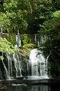 Purakaunui Falls - New Zealand by Ricardo Bouman Photography thumbnail