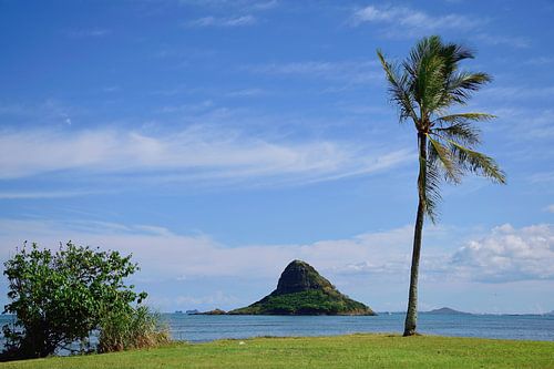 Chinaman's hat (Mokoli'i ) van het Kualoa Regional Park