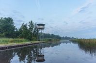 Uitkijktoren in de Wieden van Remco Van Daalen thumbnail