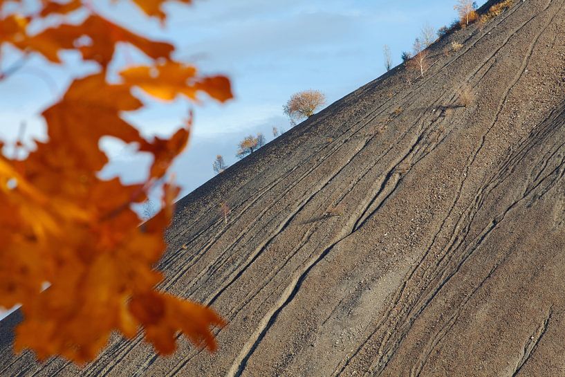 Mijnbouwlandschap in de regio Mansfeld/Zuid-Harz van t.ART